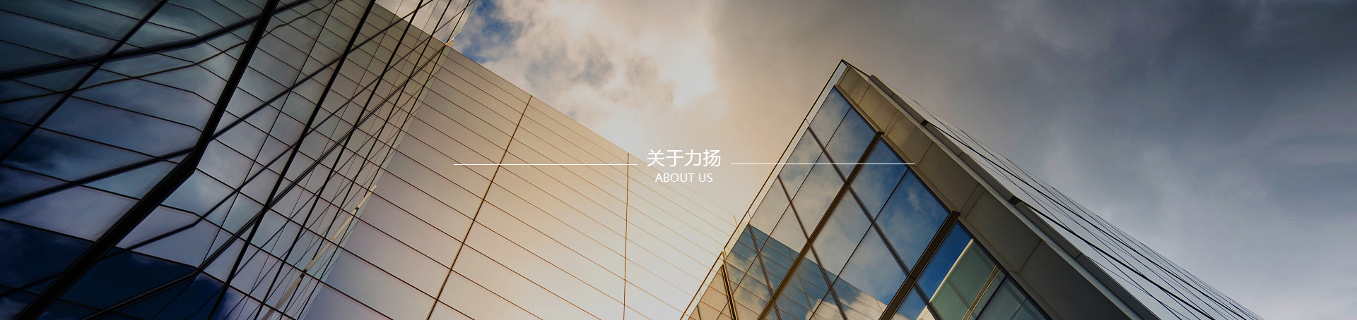 關于力揚